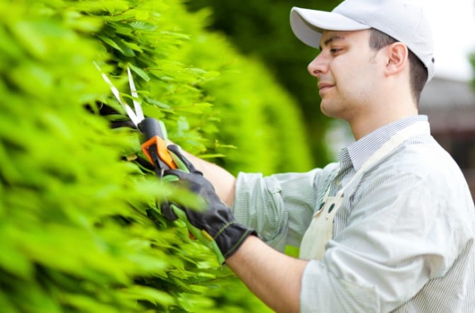 Devenir Jardinier : missions, salaire et formations