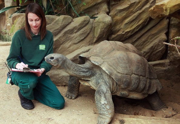 Comment devenir soigneur animalier