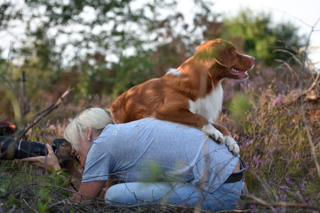 metier en rapport avec les animaux