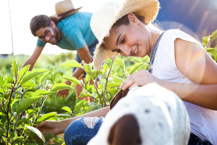 metier horticulteur