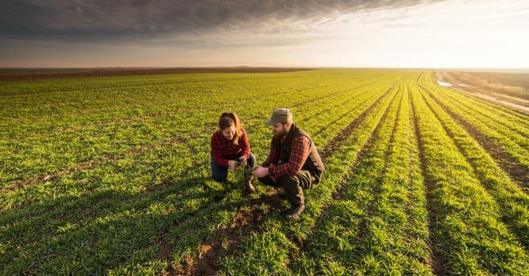 Devenir Agriculteur : missions, salaire, formations et perspectives