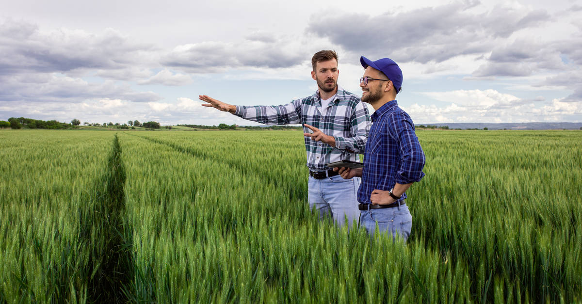 Conseil d'un agriculteur dans un champ