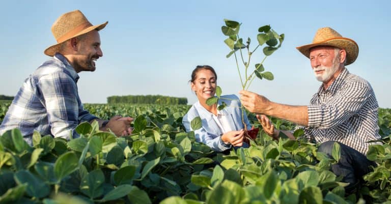 BTSA DATR – Développement, Animation des Territoires Ruraux : durée, programme…