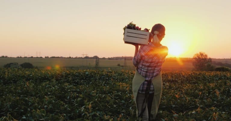 BTSA PH – Productions Horticoles : durée, accès, programme, etc