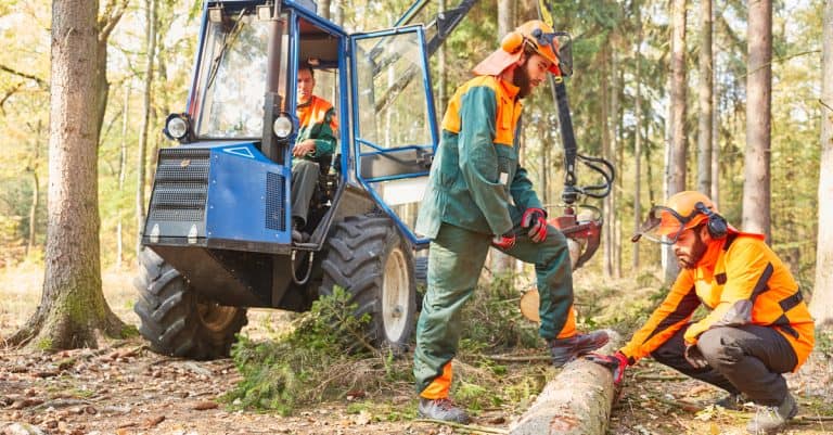 BAC Pro Forêt : durée, accès, programme et débouchés