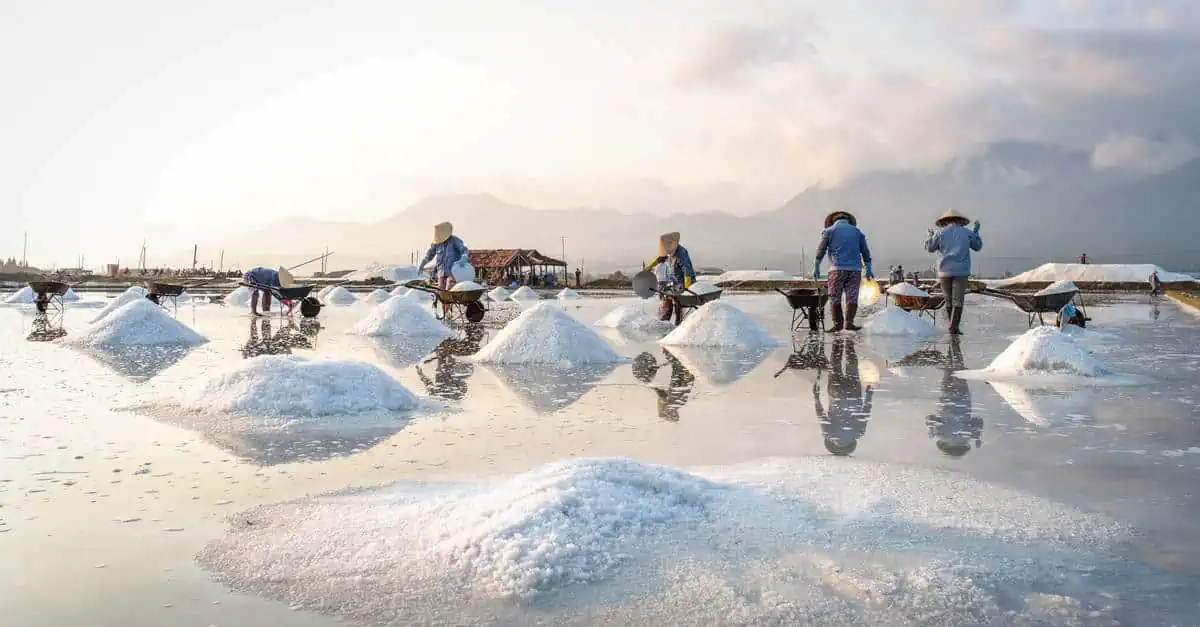 Salines