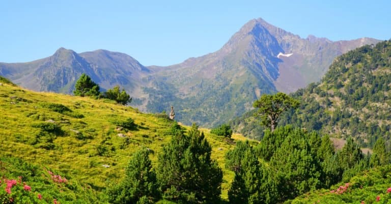 BAC Pro GMNF – Gestion des Milieux Naturels et de la Faune : durée, accès, programme et débouchés