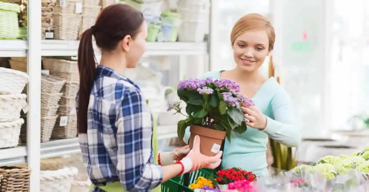 Vente de fleurs