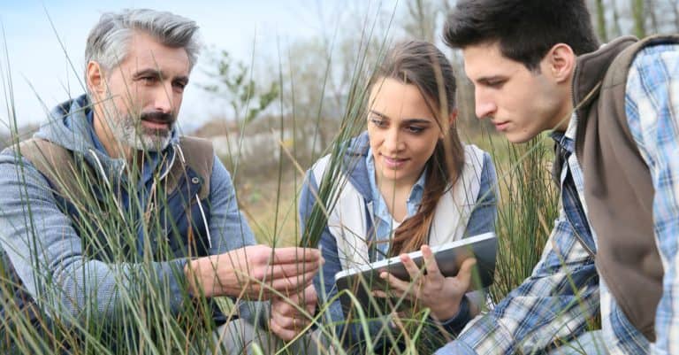 BAC STAV – Sciences et Technologies de l’agronomie et du vivant : durée, programme…