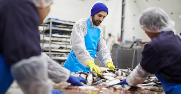 CAP poissonnier écailler : durée, accès, programme et débouchés