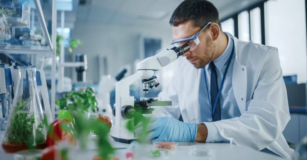 Biologiste qui étudie des plantes au microscope dans un laboratoire