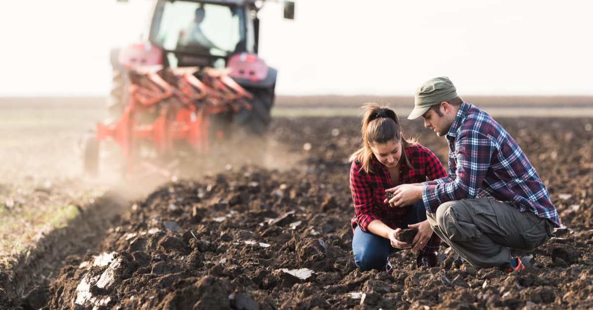 Deux jeunes agriculteurs sur une exploitation agricole