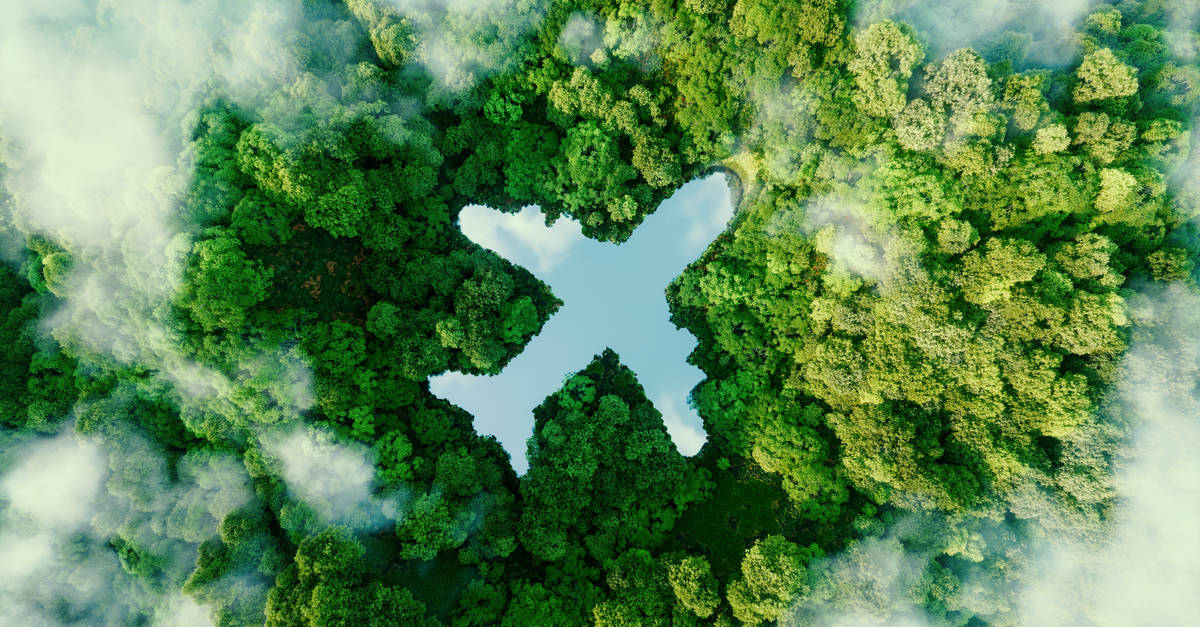 Illustration d'un lac en forme d'avion dans une foret