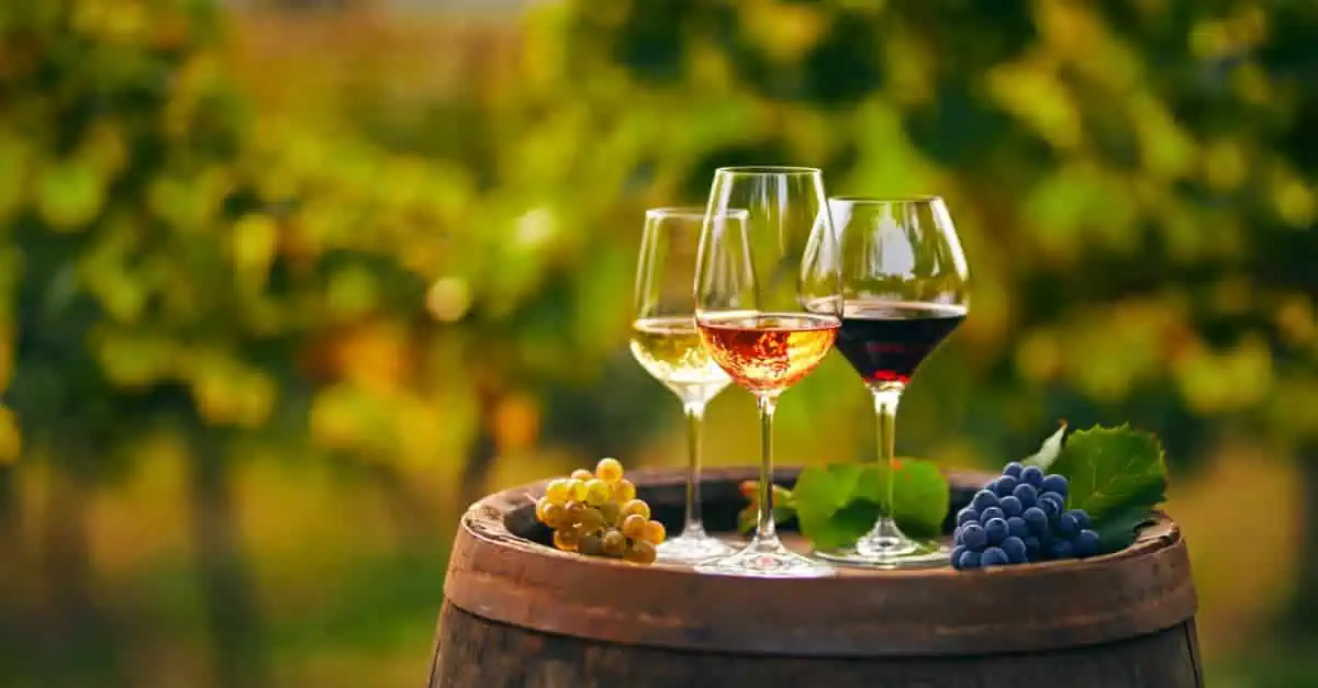 Verres de vin sur un tonneau dans les vignes
