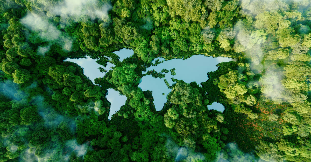 Un lac en forme de continents au milieu de la nature