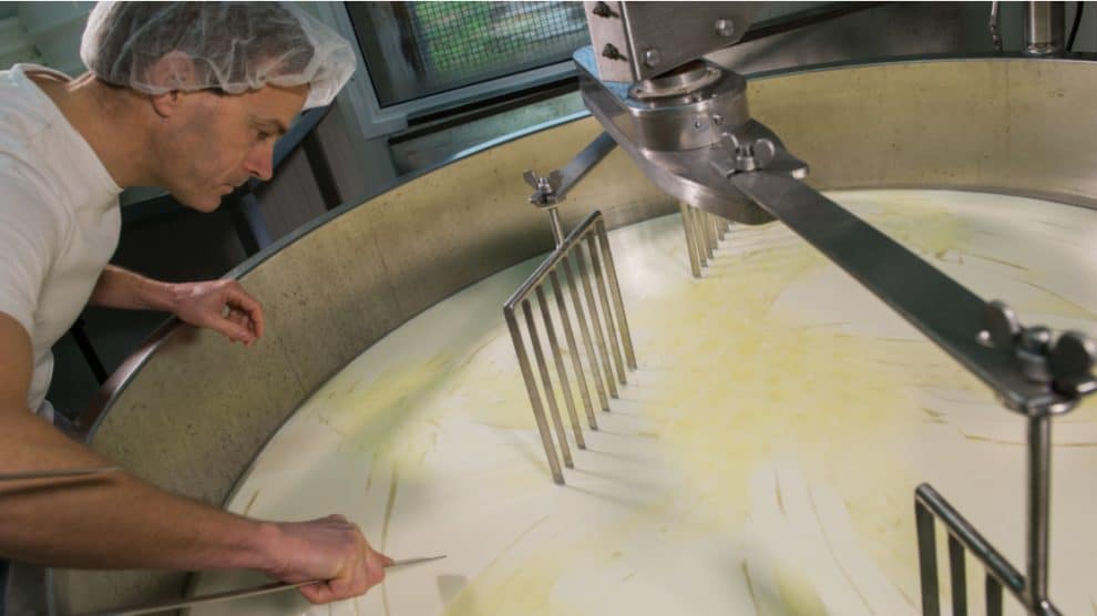 Fabrication de fromage dans une grande cuve